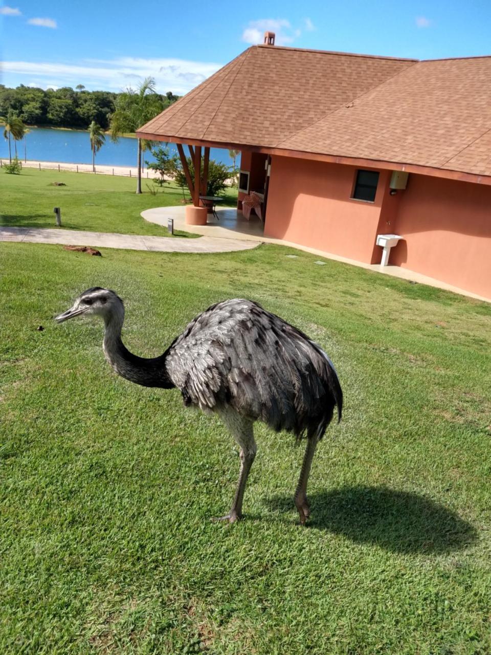 Malai Manso Cotista - Resort Acomodacoes 4 Hosp (Adults Only) Retiro  المظهر الخارجي الصورة